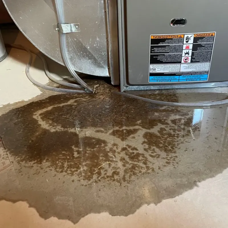 Pipe Burst and Leak Restoration in Fox Chapel, PA